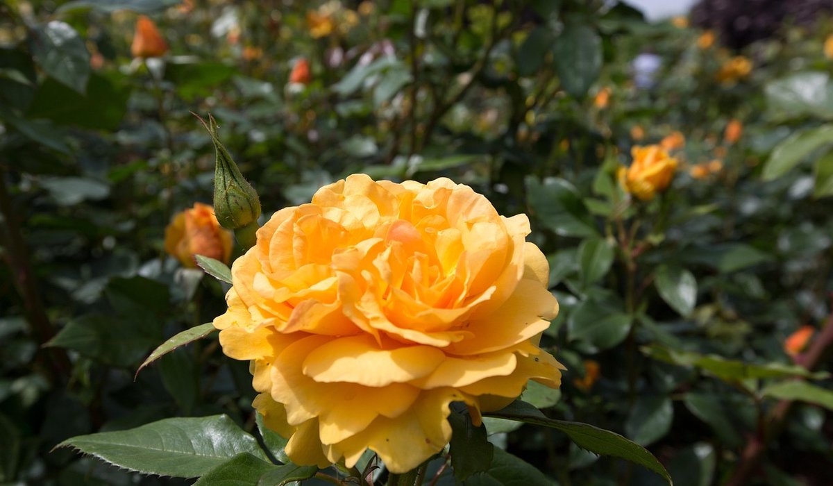 blog single post