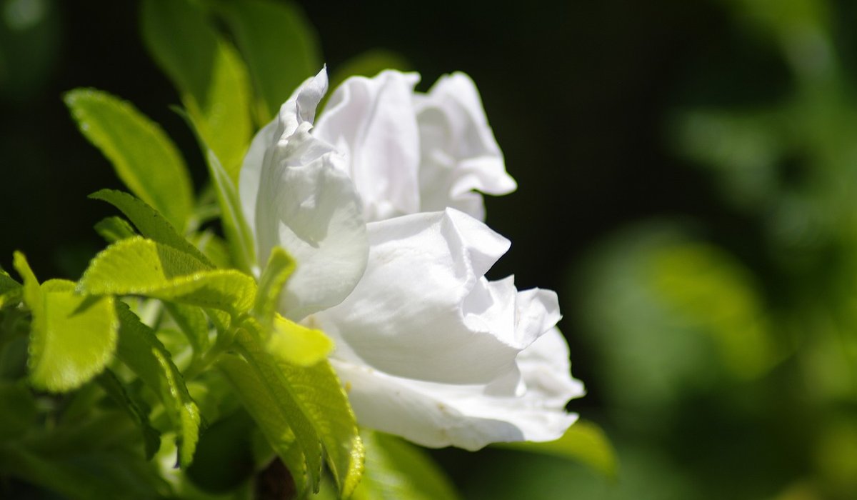 blog single post